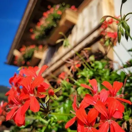 Tauernwelt Das Alpennatur Chalet Lägenhet